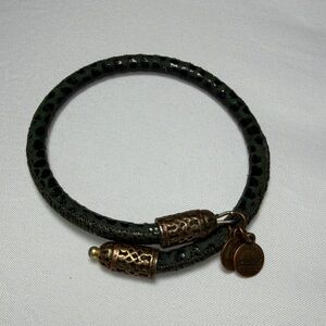 Alex and Ani Green Bracelet with Bronze Charms